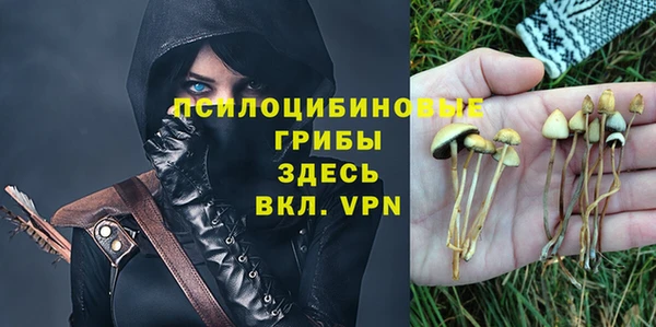 a pvp Алексин