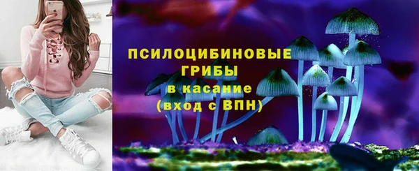 2c-b Алзамай