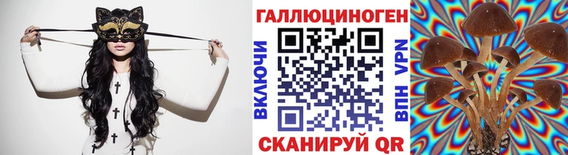 shop телеграм  Чайковский  Галлюциногенные грибы MAGIC MUSHROOMS  мега зеркало 