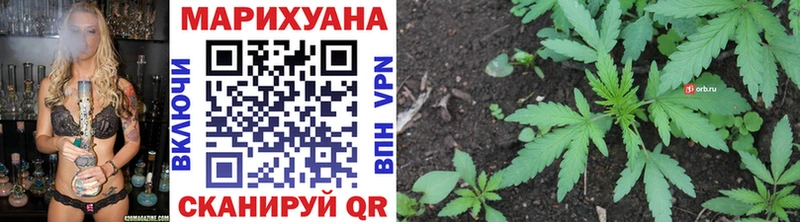 где найти наркотики  Чайковский  Канабис тримм 